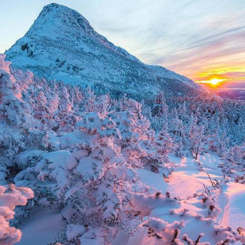 اس اچ و ام 2 ناخوش